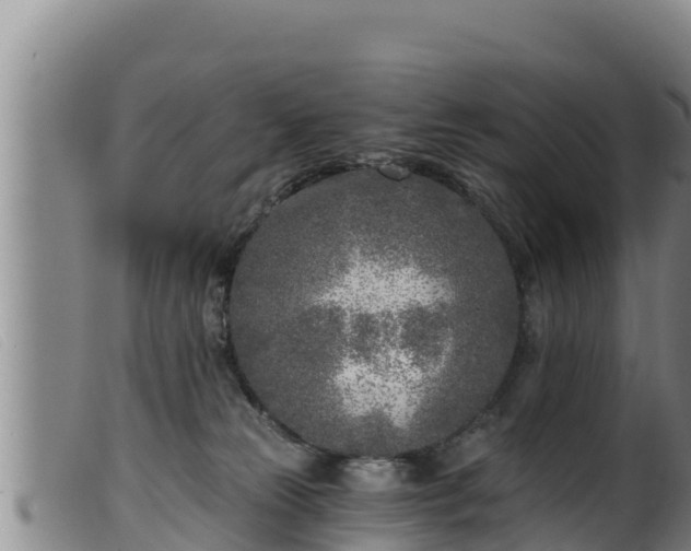 X0000099540181200805231135