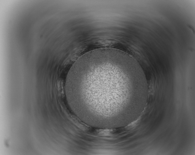 X0000099540182200805231135