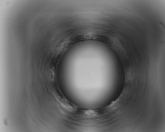 X0000099540183200805231135