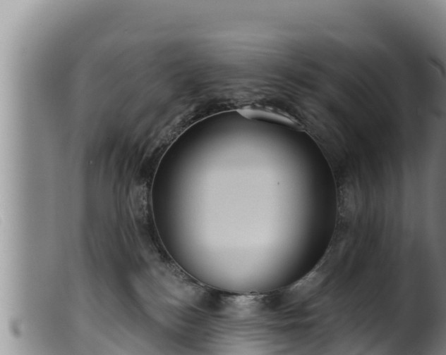 X0000099540184200805231135