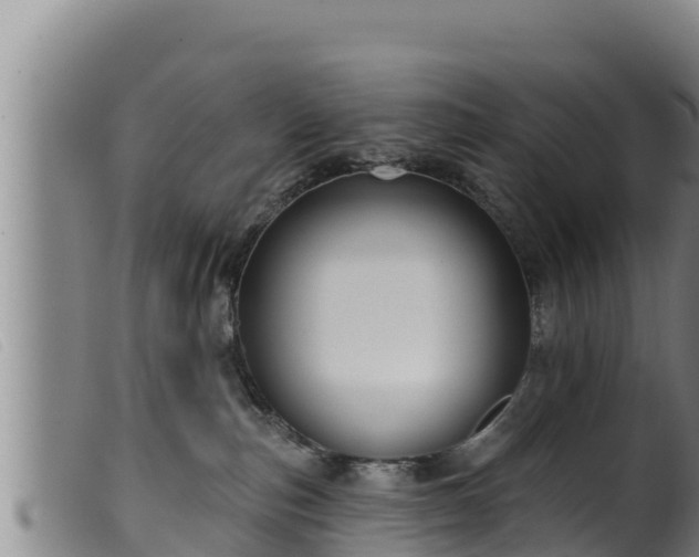 X0000099540187200805231136