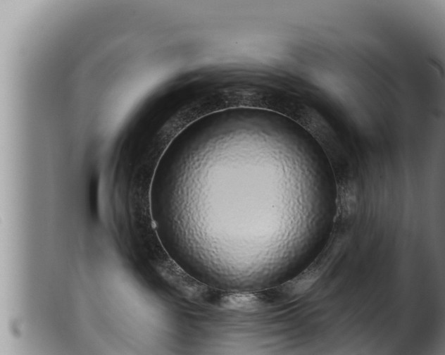 X0000099540189200805231136