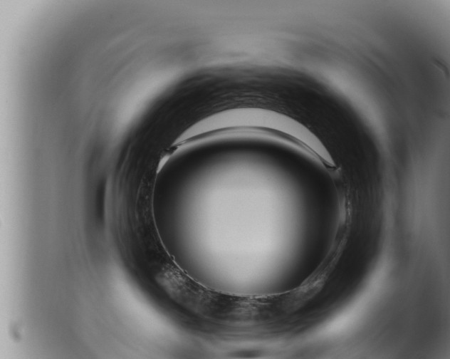 X0000099540190200805231136