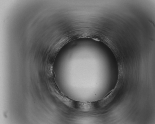 X0000099540191200805231136