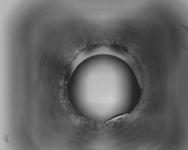 X0000099540192200805231136