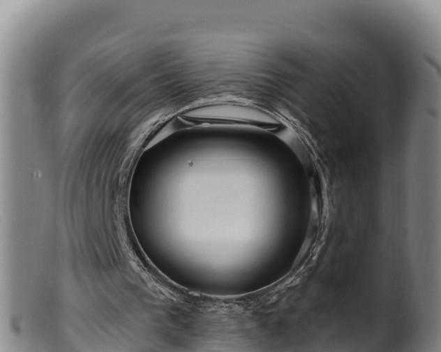 X0000099540193200805231135