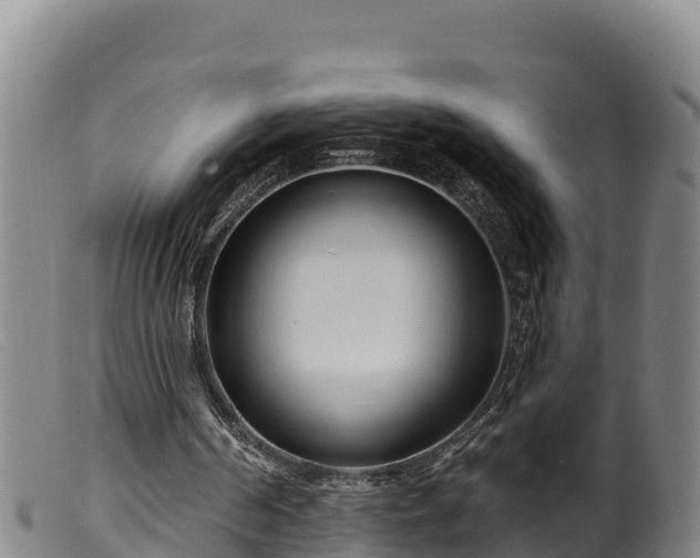 X0000099540194200805231135