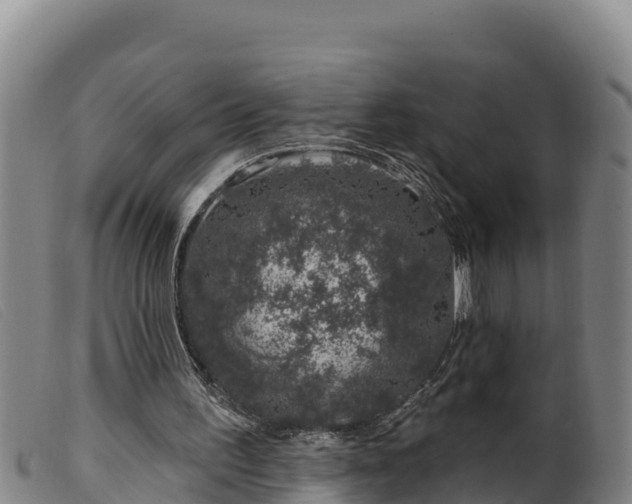 X0000099540195200805231135