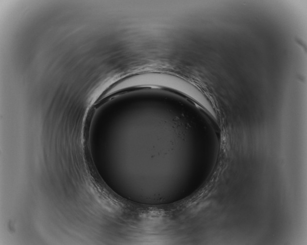 X0000099540196200805231135