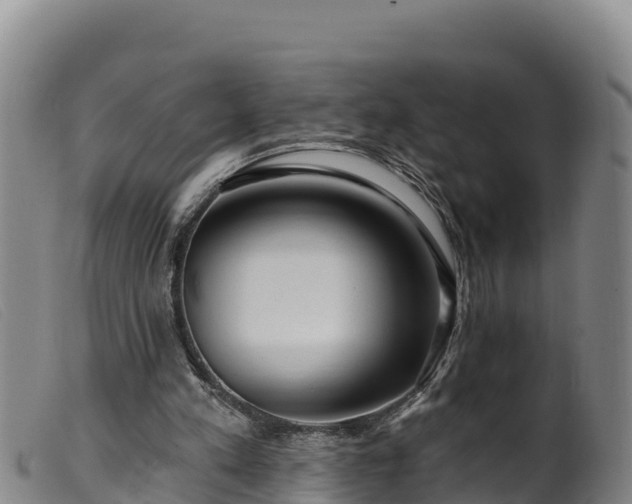 X0000099540197200805231135