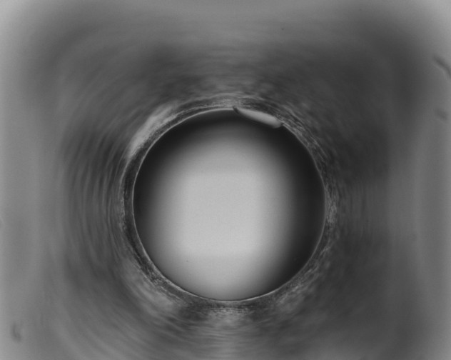 X0000099540198200805231135