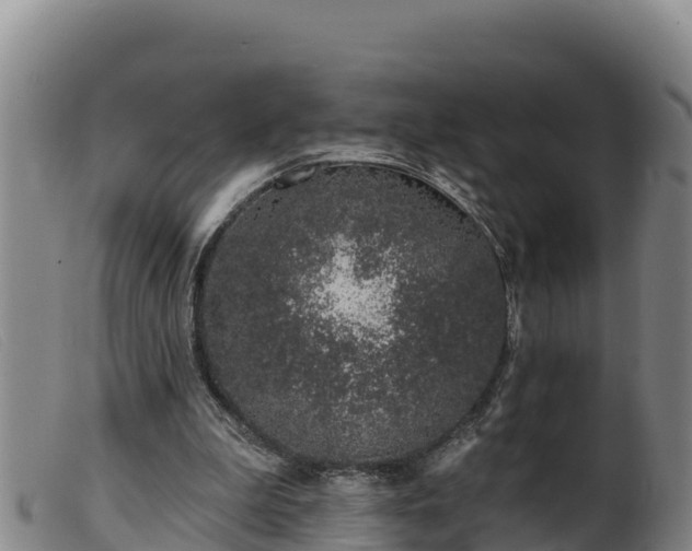 X0000099540199200805231135