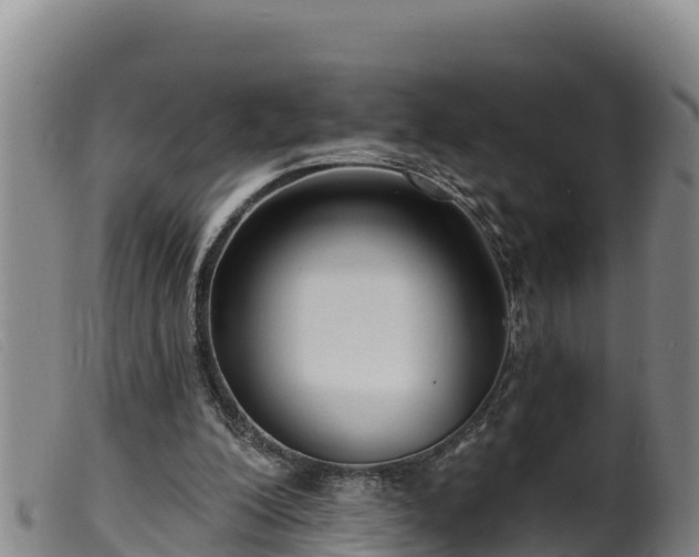 X0000099540200200805231135