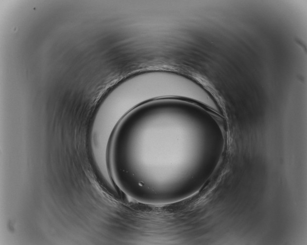 X0000099540201200805231135