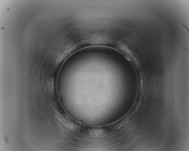 X0000099540202200805231135