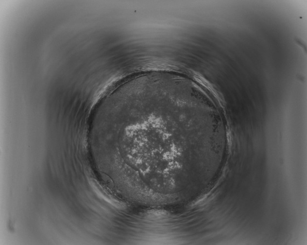 X0000099540203200805231135