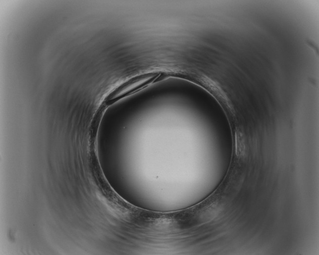 X0000099540204200805231135