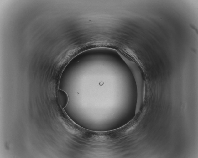 X0000099540205200805231135