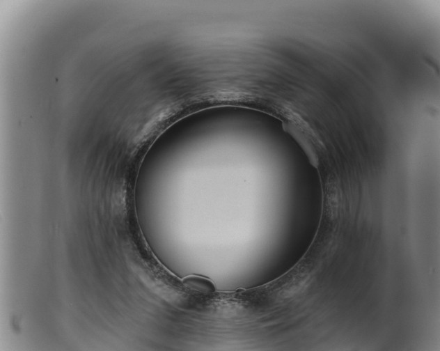 X0000099540207200805231135