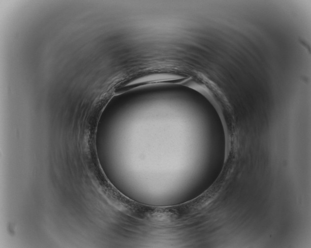 X0000099540209200805231135