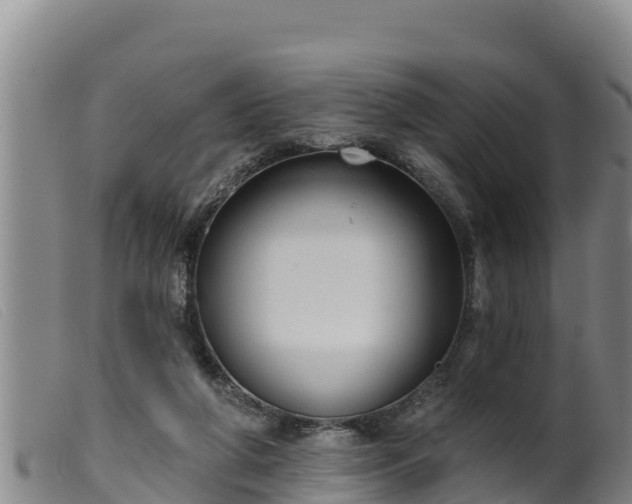 X0000099540210200805231135