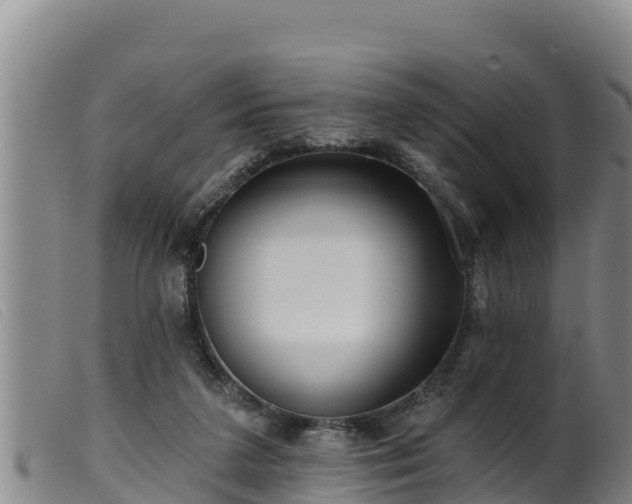 X0000099540211200805231135