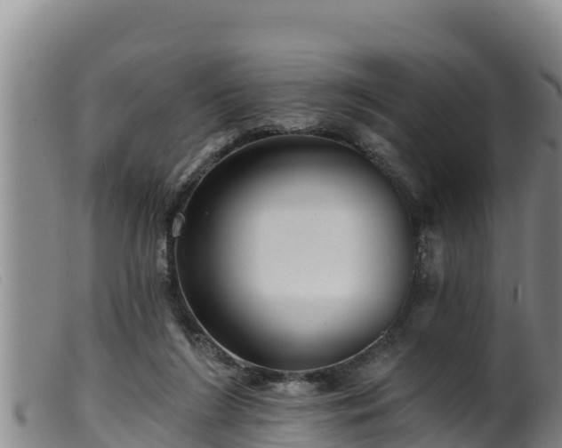 X0000099540212200805231135