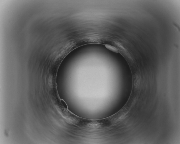 X0000099540213200805231135