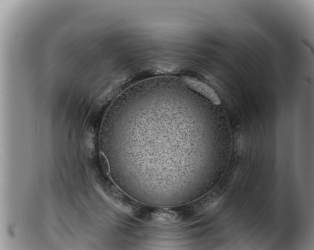 X0000099540215200805231135