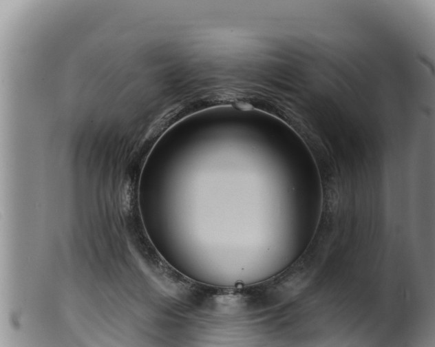 X0000099540216200805231135