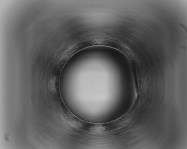 X0000099540217200805231135