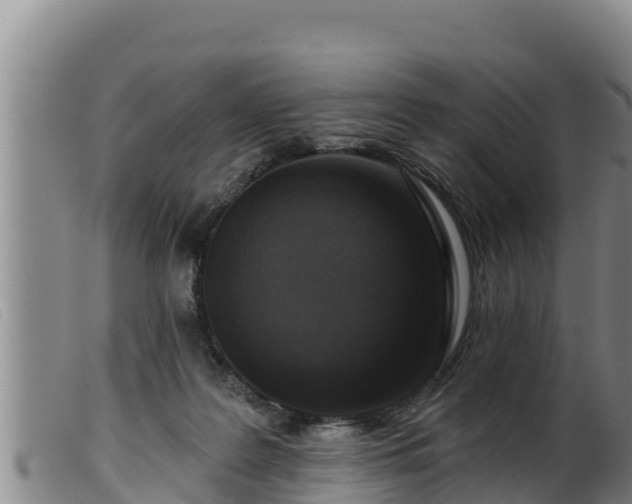 X0000099540219200805231135