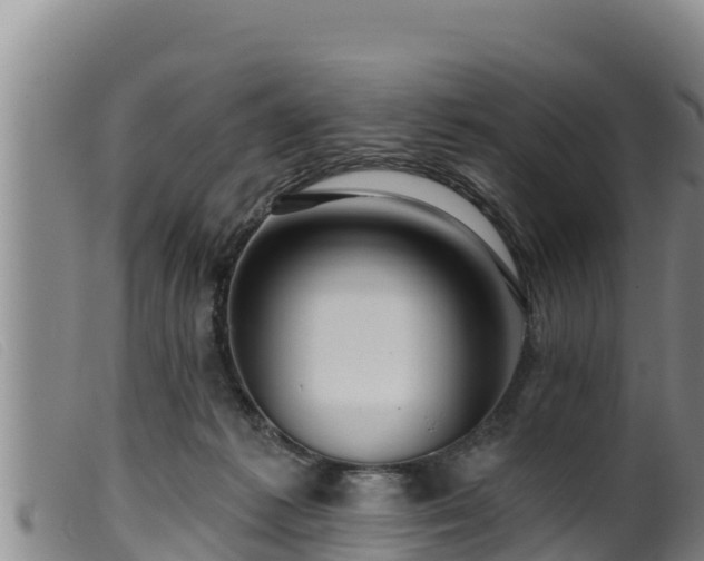 X0000099540221200805231134