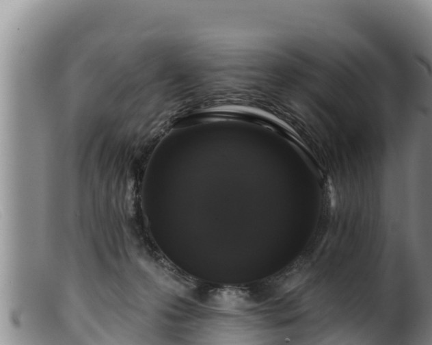 X0000099540223200805231134