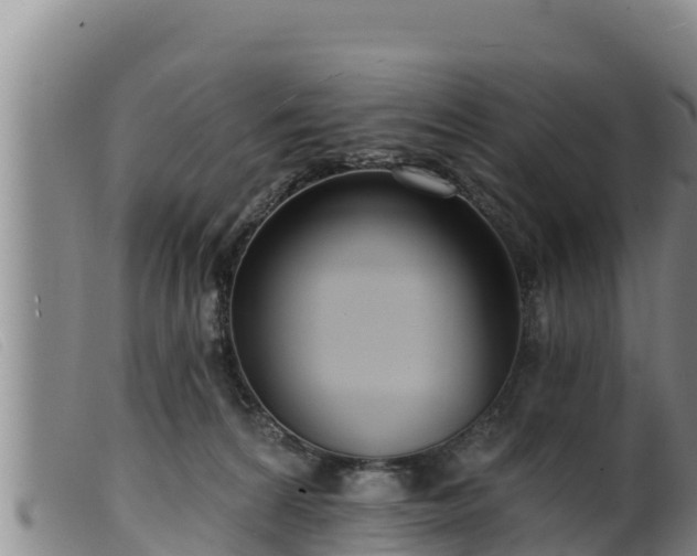 X0000099540224200805231134