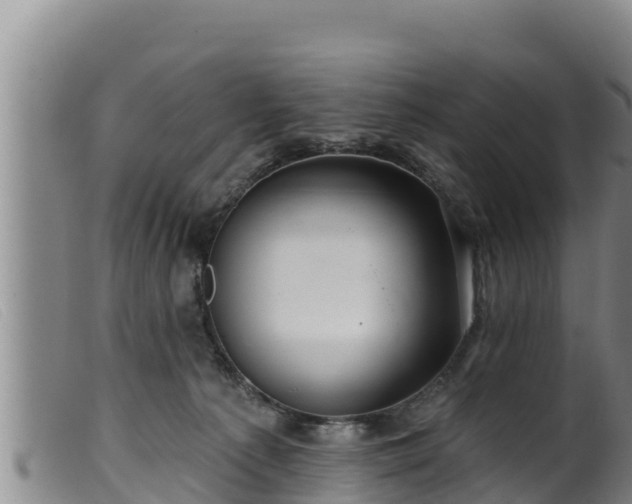 X0000099540225200805231134