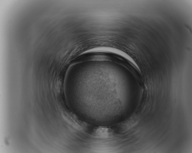 X0000099540227200805231134