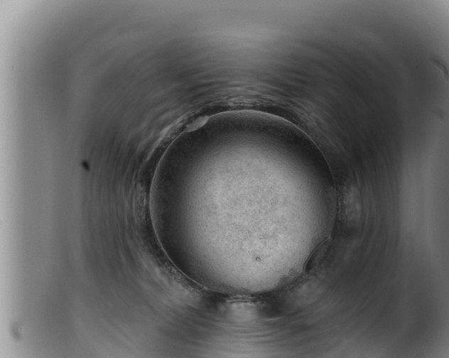 X0000099540228200805231134