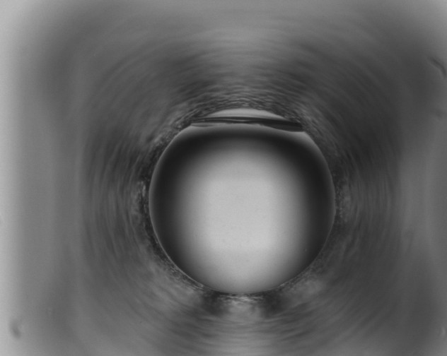 X0000099540229200805231134