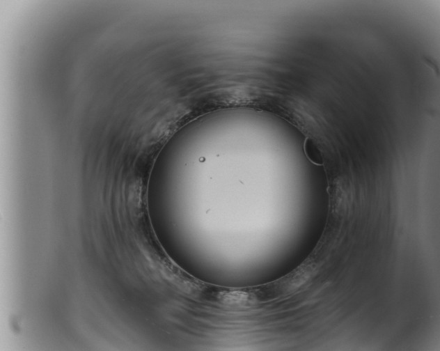 X0000099540230200805231134