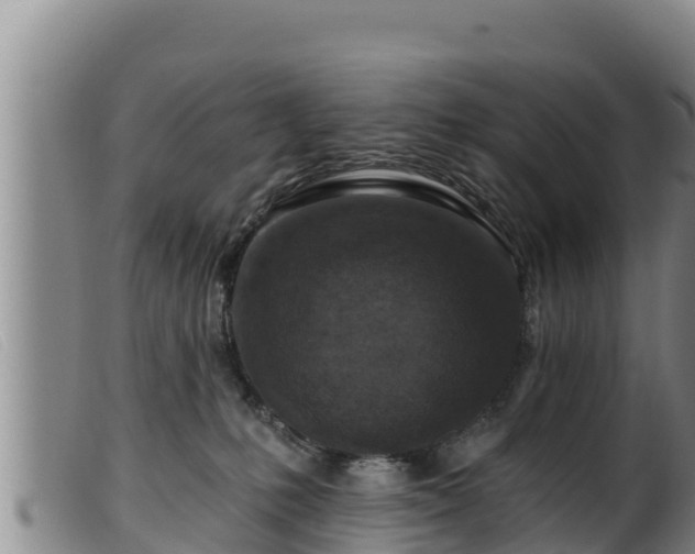 X0000099540231200805231134