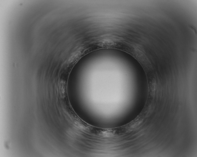 X0000099540232200805231134