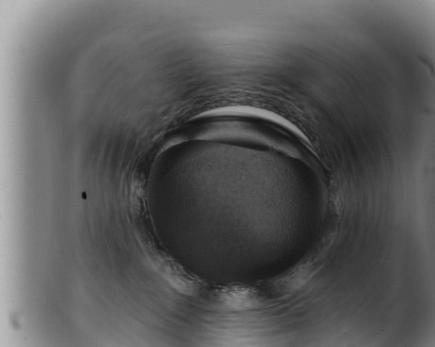 X0000099540235200805231134