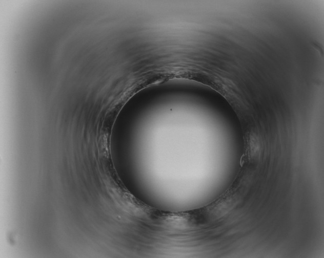 X0000099540236200805231134