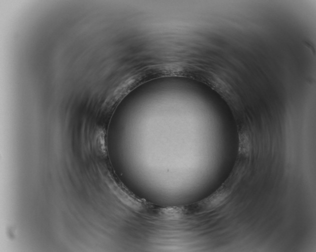 X0000099540238200805231134