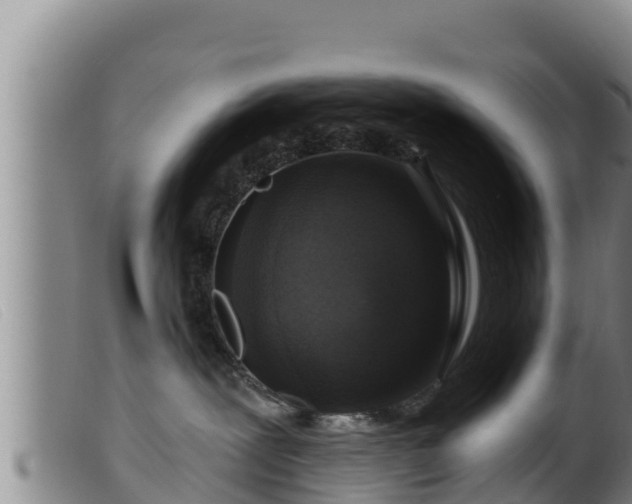 X0000099540239200805231134