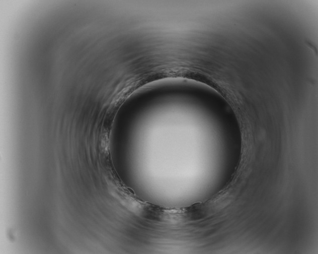 X0000099540240200805231134