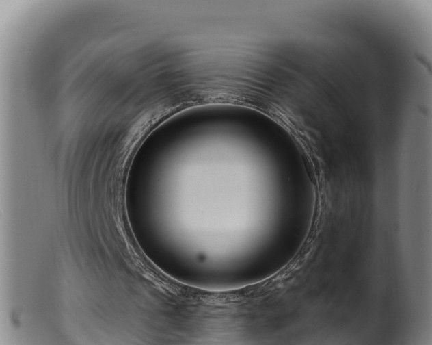 X0000099540241200805231133