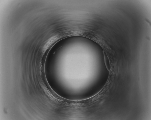 X0000099540242200805231133