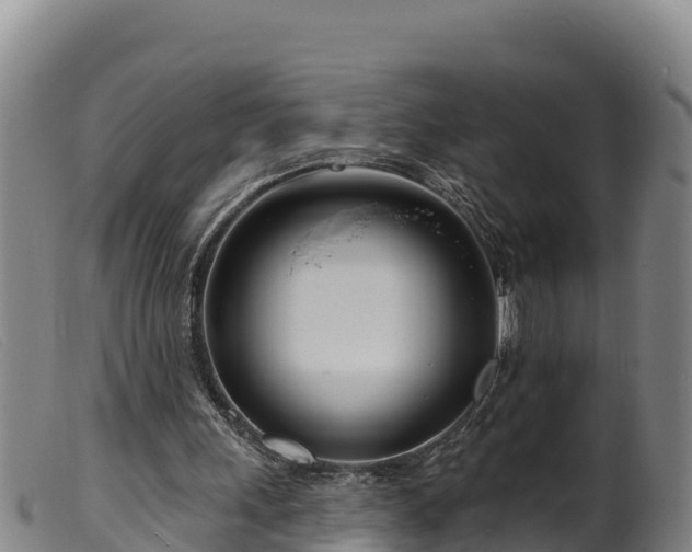 X0000099540243200805231133